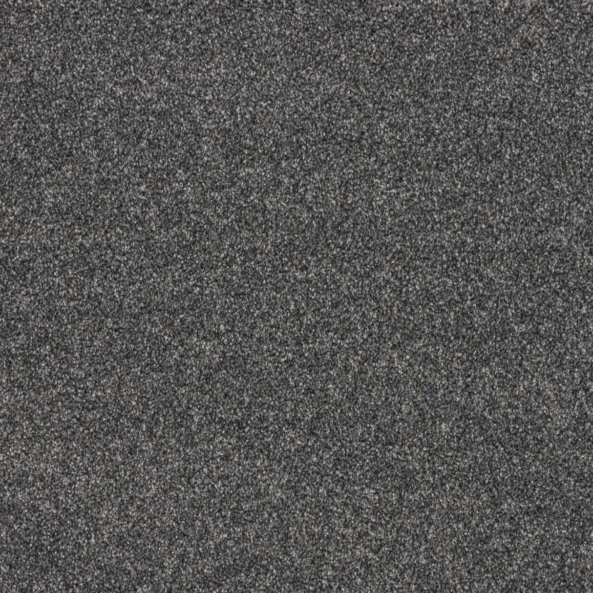 Timeless Elegance Elite Carpet