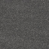 Timeless Elegance Elite Carpet