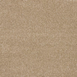 Timeless Elegance Elite Carpet