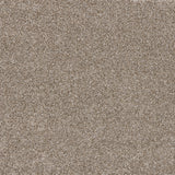 Timeless Elegance Elite Carpet