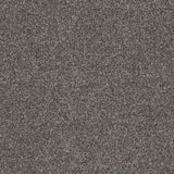 Timeless Elegance Elite Carpet