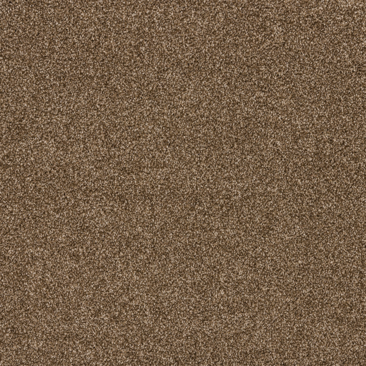 Timeless Elegance Elite Carpet