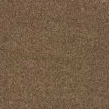 Timeless Elegance Elite Carpet