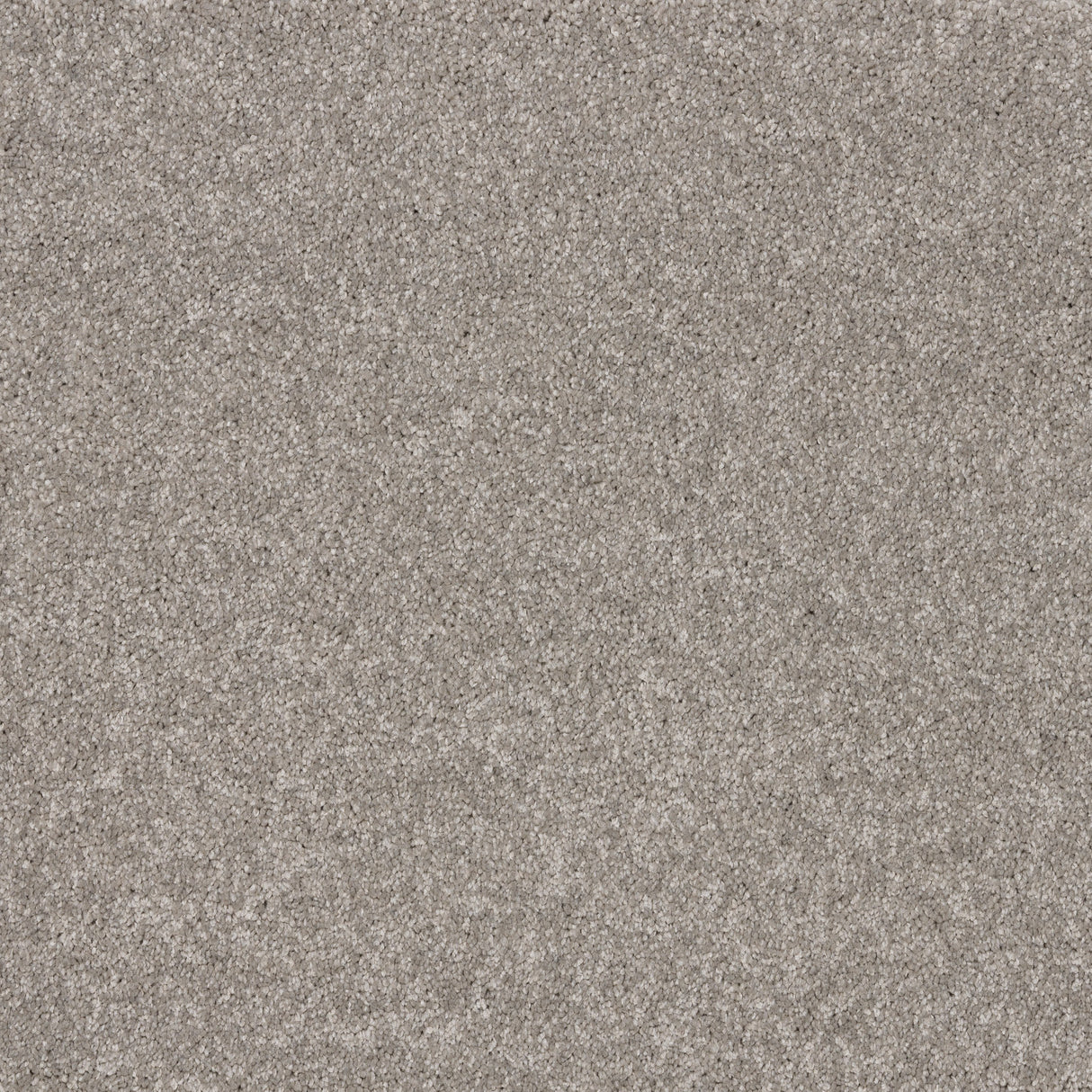 Timeless Elegance Elite Carpet