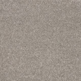 Timeless Elegance Elite Carpet