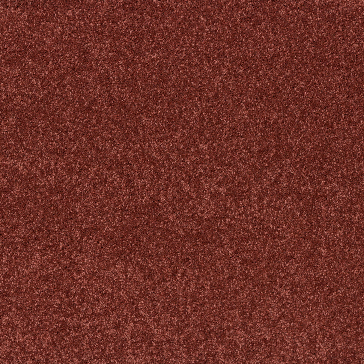 Timeless Elegance Elite Carpet