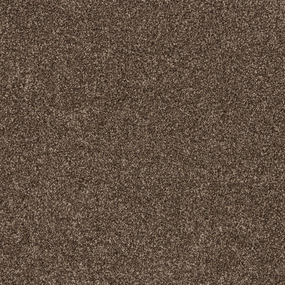 Timeless Elegance Elite Carpet