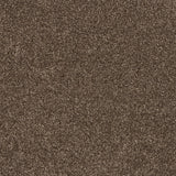 Timeless Elegance Elite Carpet