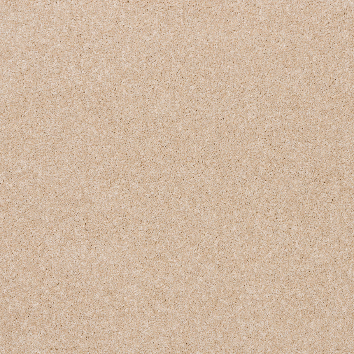 Timeless Elegance Elite Carpet