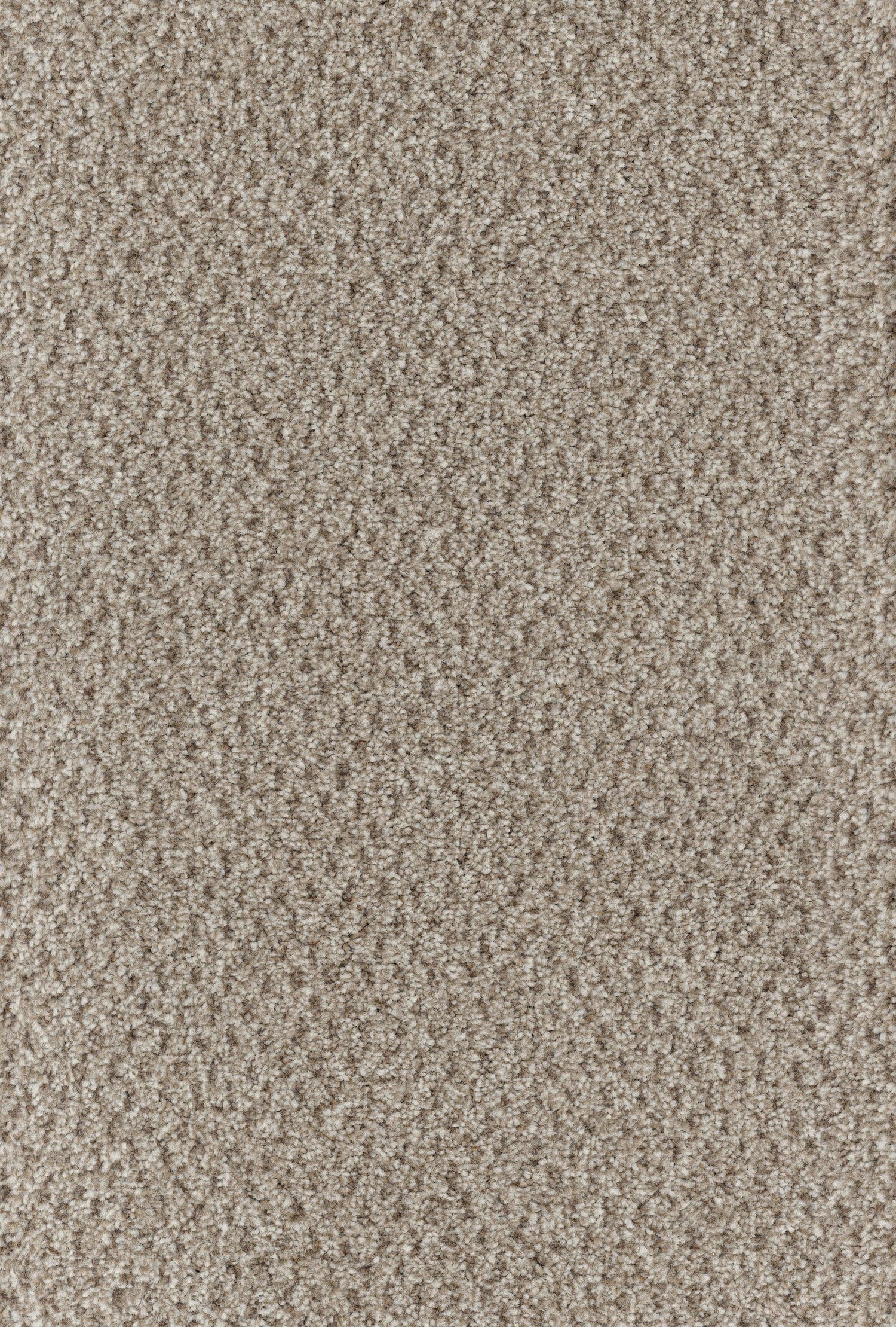 Trident Tweed Patterned Carpet, Stain-Resistant 2-Ply – Direct Carpet ...