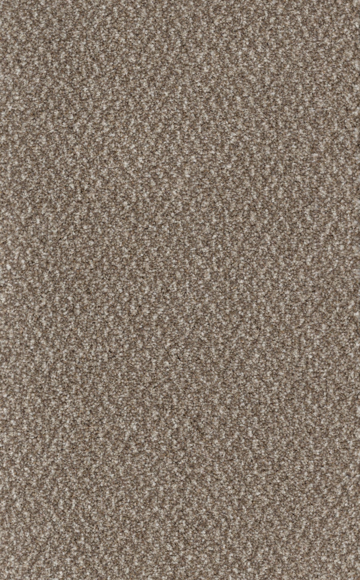 Trident Tweed Carpet