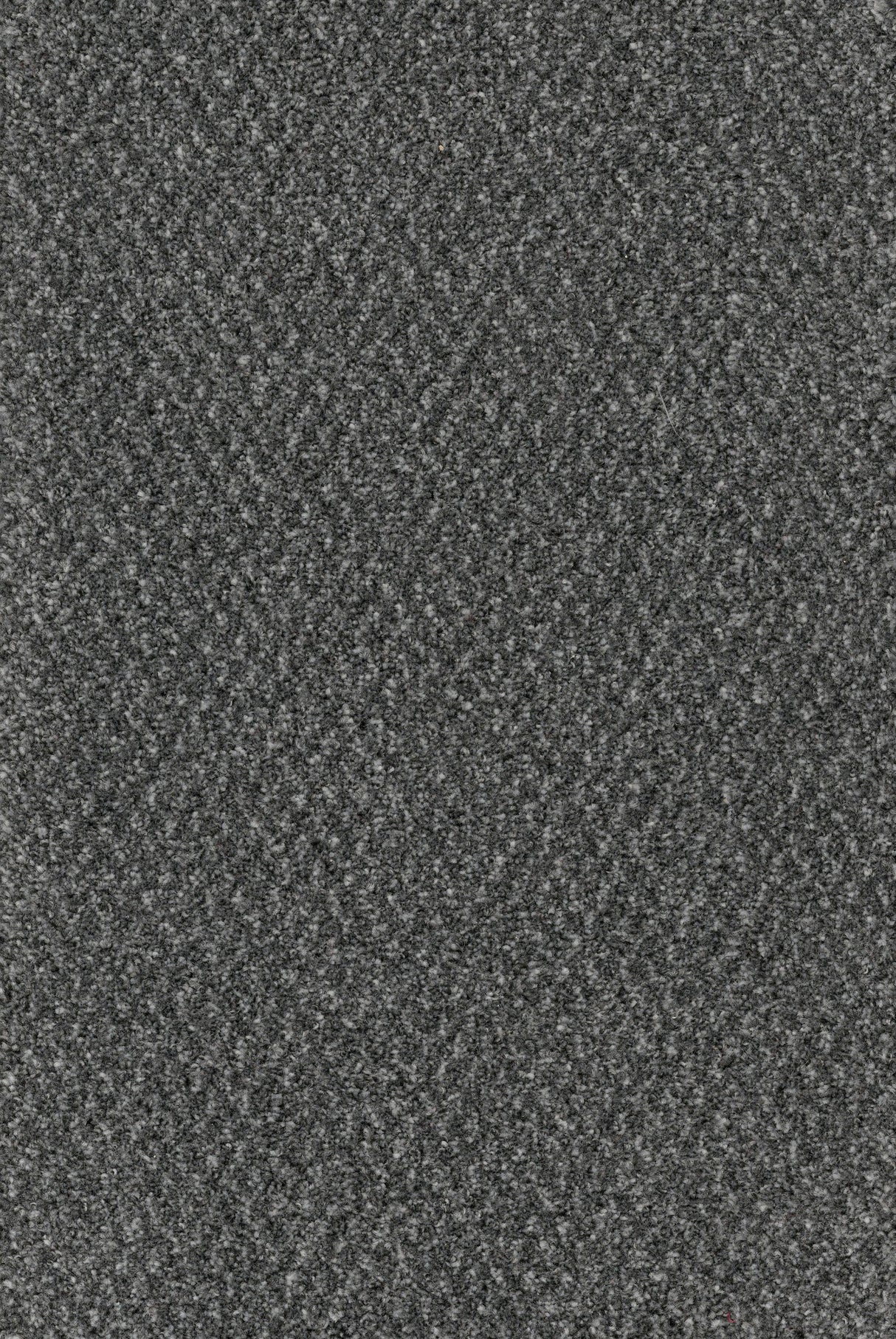 Furlongs Trident Tweed - Obsidian Carpet