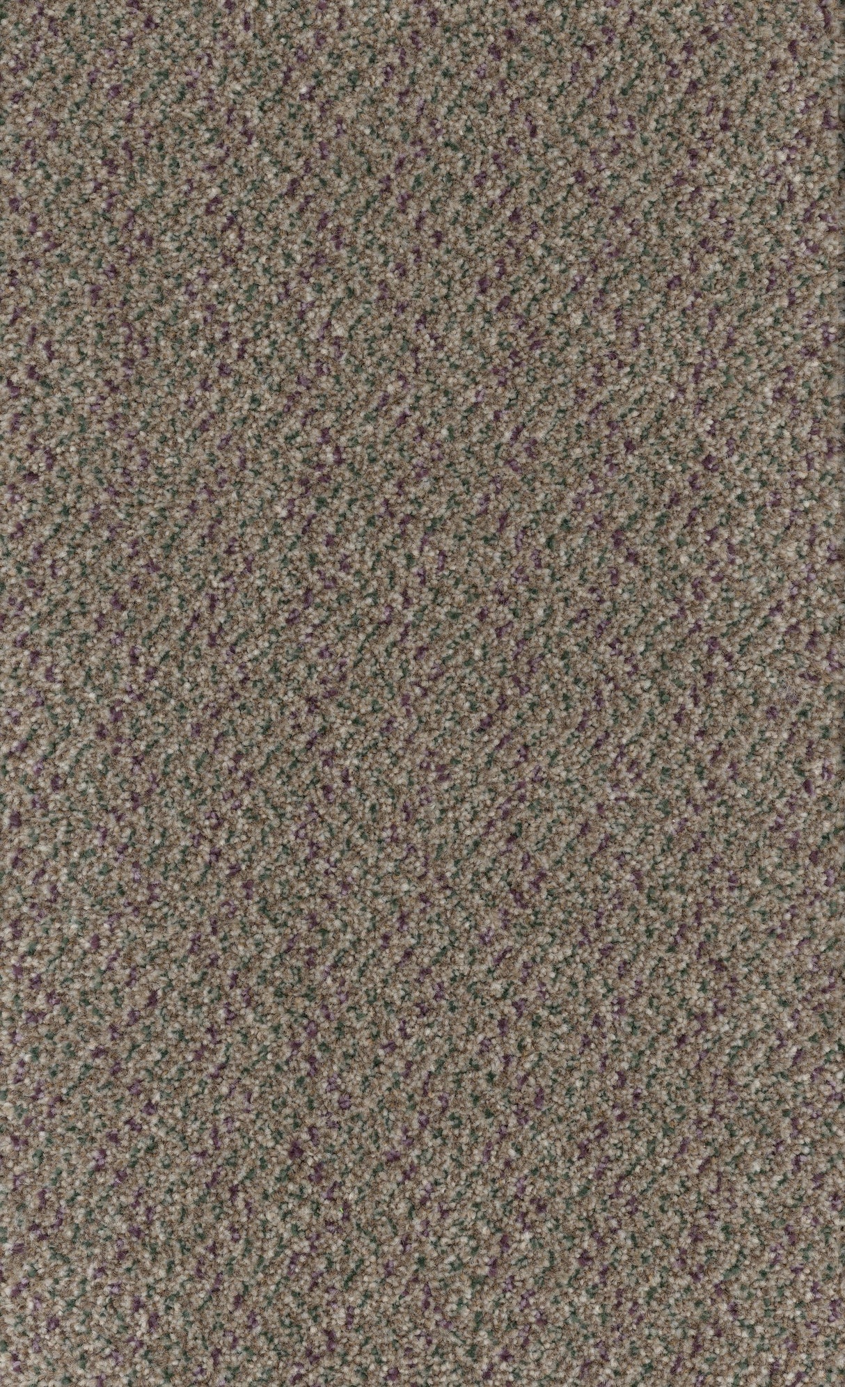 Trident Tweed Carpet