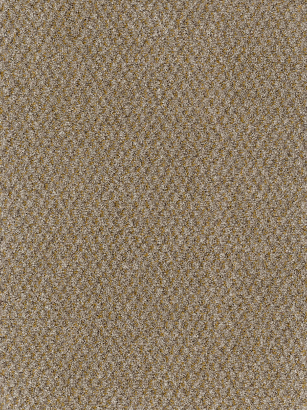 Furlongs Trident Tweed - Honey Mustard Carpet