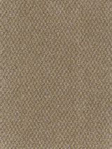 Trident Tweed Carpet