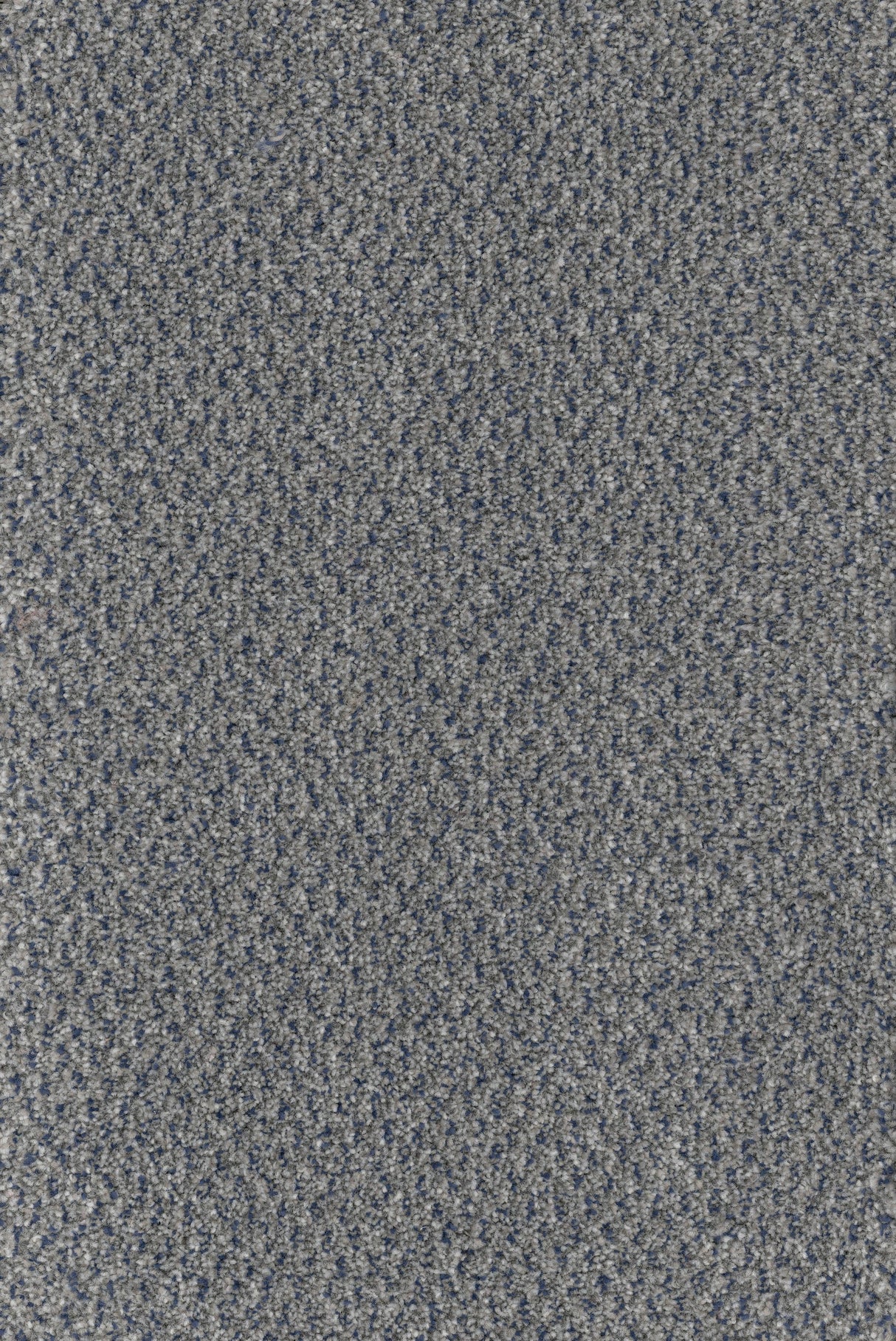 Trident Tweed Carpet