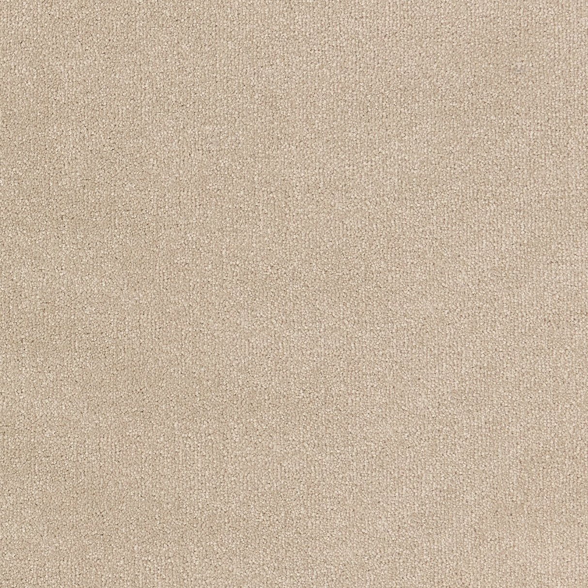 Trident Plains Carpet