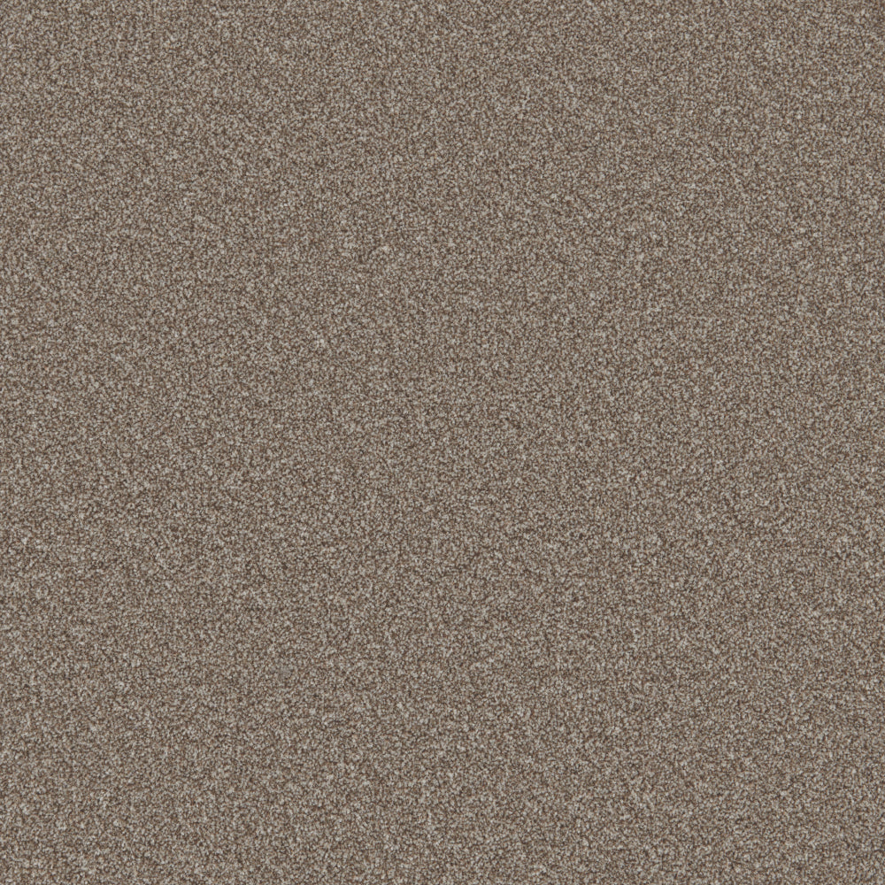 Trident Heathers Carpet