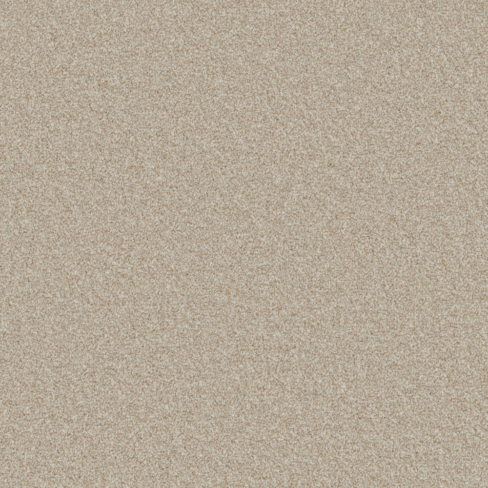 Trident Heathers Carpet