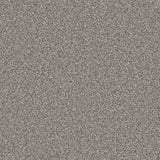 Trident Heathers Carpet