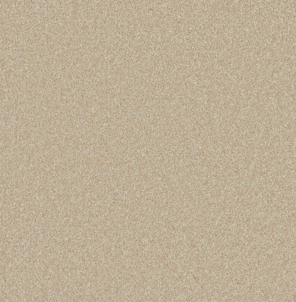 Trident Heathers Carpet