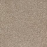 Trident Plains Carpet