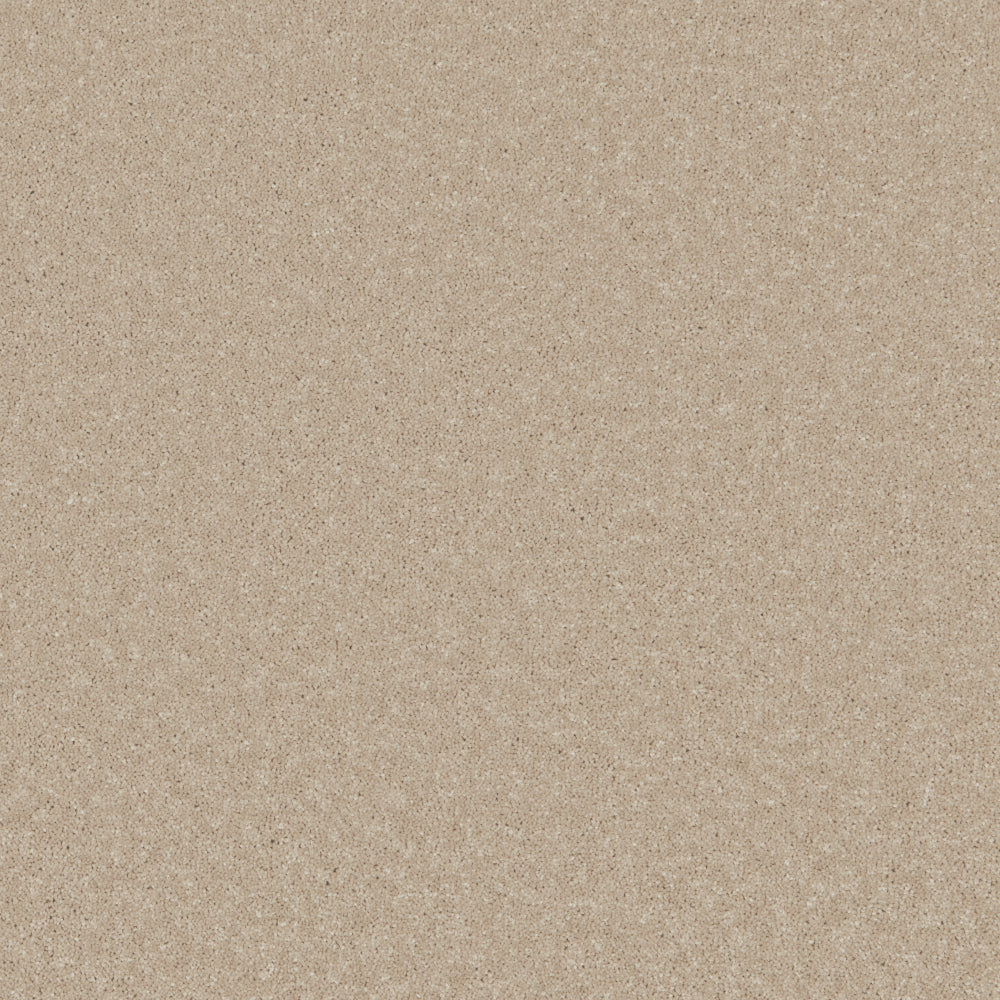 Trident Plains Carpet