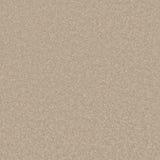 Trident Plains Carpet