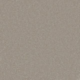 Trident Plains Carpet