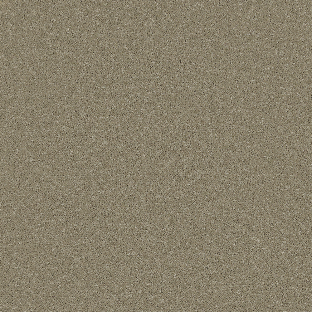 Trident Plains Carpet