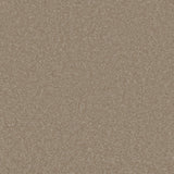 Trident Plains Carpet