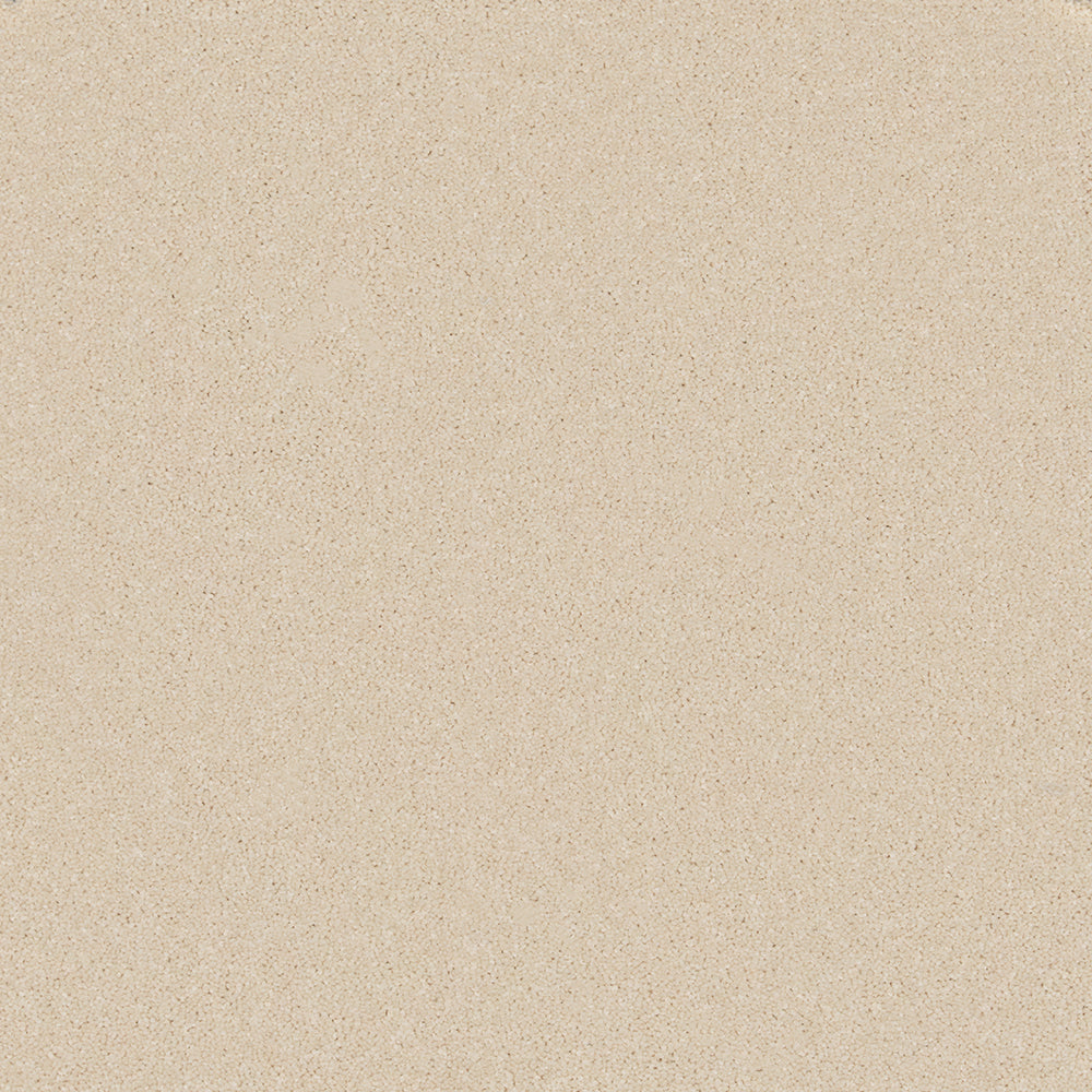 Trident Plains Carpet