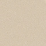 Trident Plains Carpet