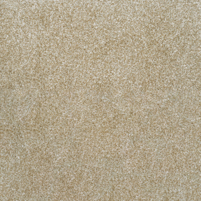 Balta Ultra Saxony - Vanilla Carpet – by Balta – 1