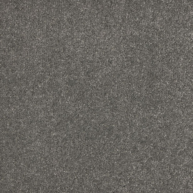 Euphoria Saxony- Velvet Carpet – by Abingdon Flooring – 1