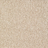 Everyroom Brixham - Beige Carpet