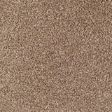 Everyroom Mullion - Biscuit Carpet