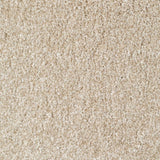 Everyroom Mullion - Cream Carpet