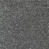 Everyroom Mullion - Platinum Carpet