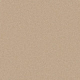 Cormar Pembroke Wool Twist - Cashmere Carpet