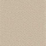 Primo Textures Weave Carpet