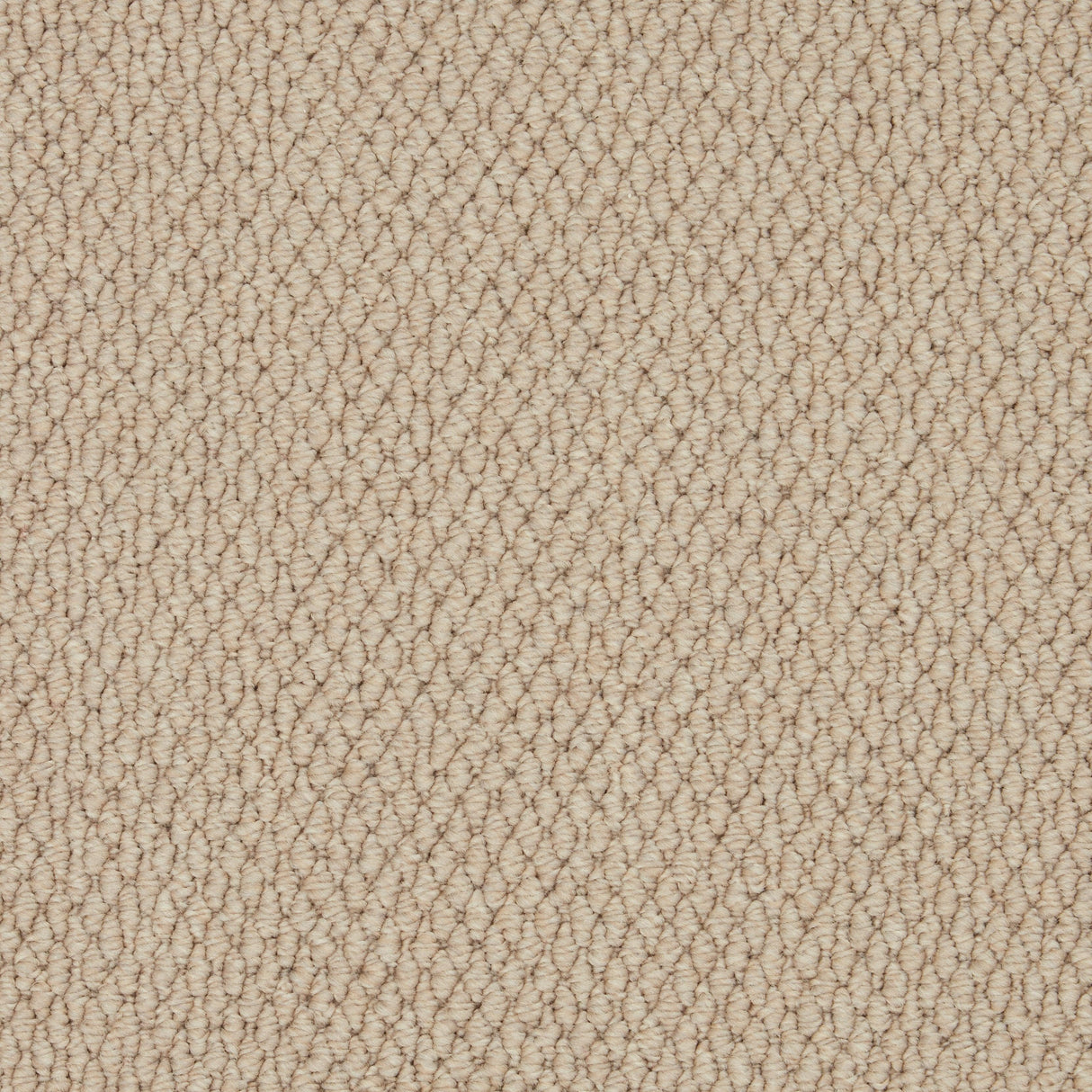 Primo Textures Weave Carpet
