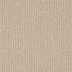 Primo Textures Ribbed Carpet