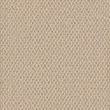 Primo Textures Weave Carpet