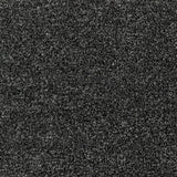 Everyroom Seaton Valley - Black Carpet