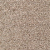 Everyroom Seaton Valley - Latte Carpet